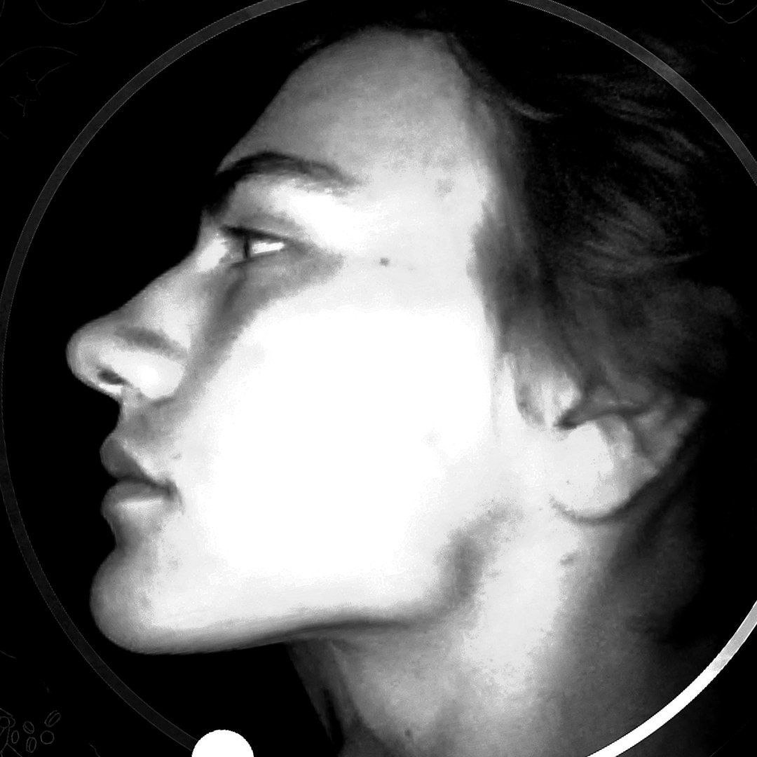 IMG 7140