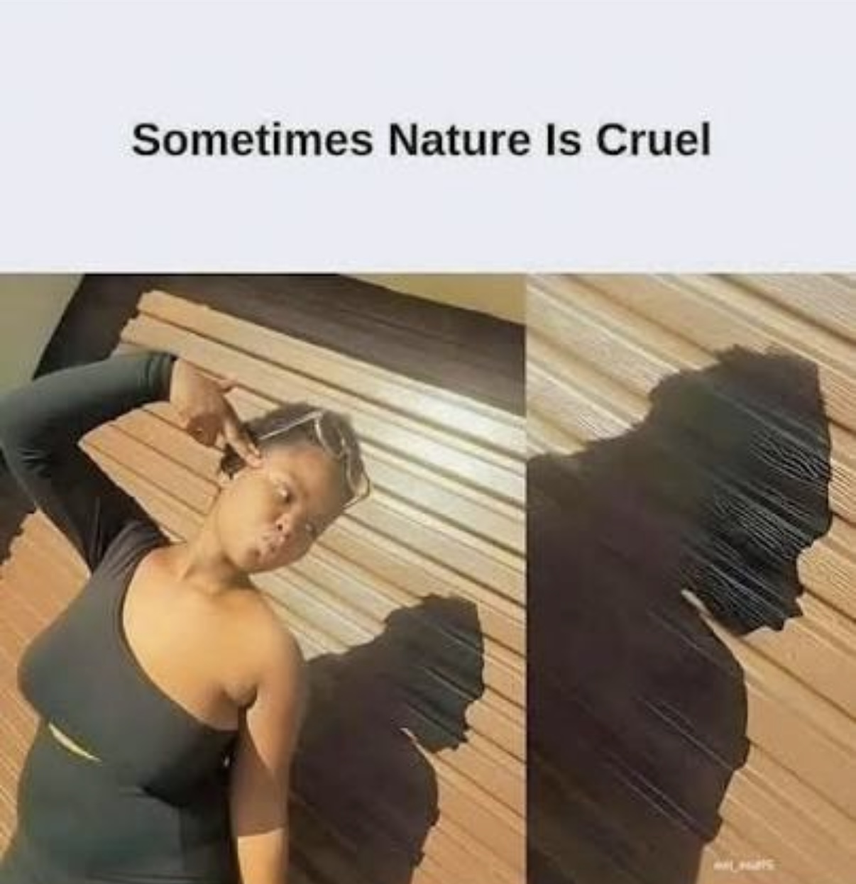 5455033 5453964 IMG 8022