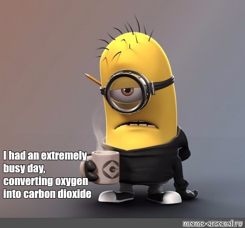 64687a73f627cddb76d6d891d0b8b909