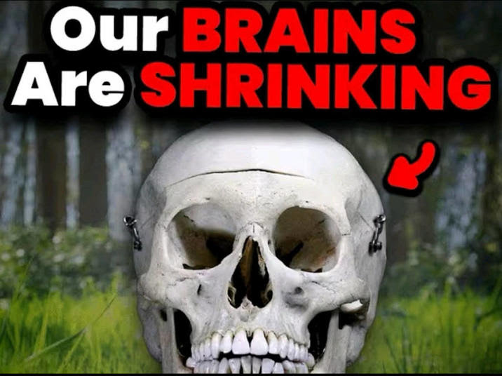 Our brains are shrinking v0 cwo44dkk52yf1