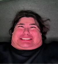 1763235812291