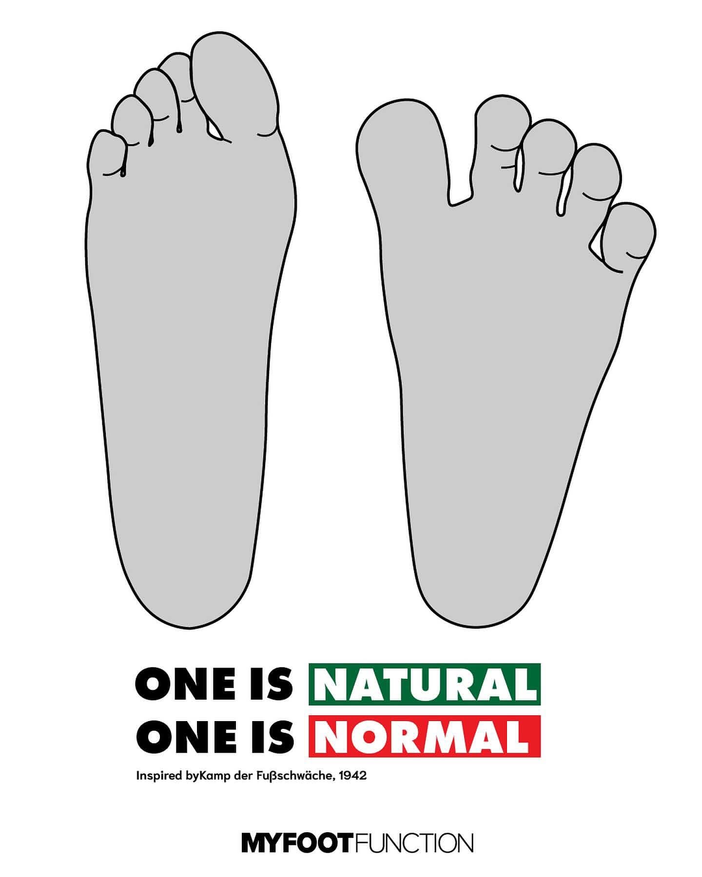 FB IMG 1763246987586