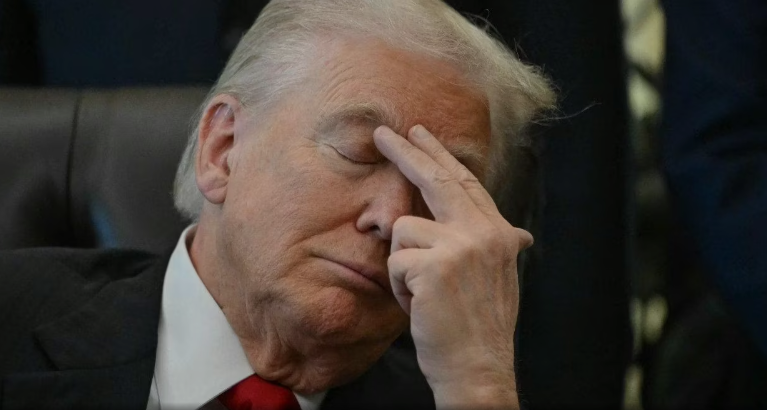 I guess bro trump