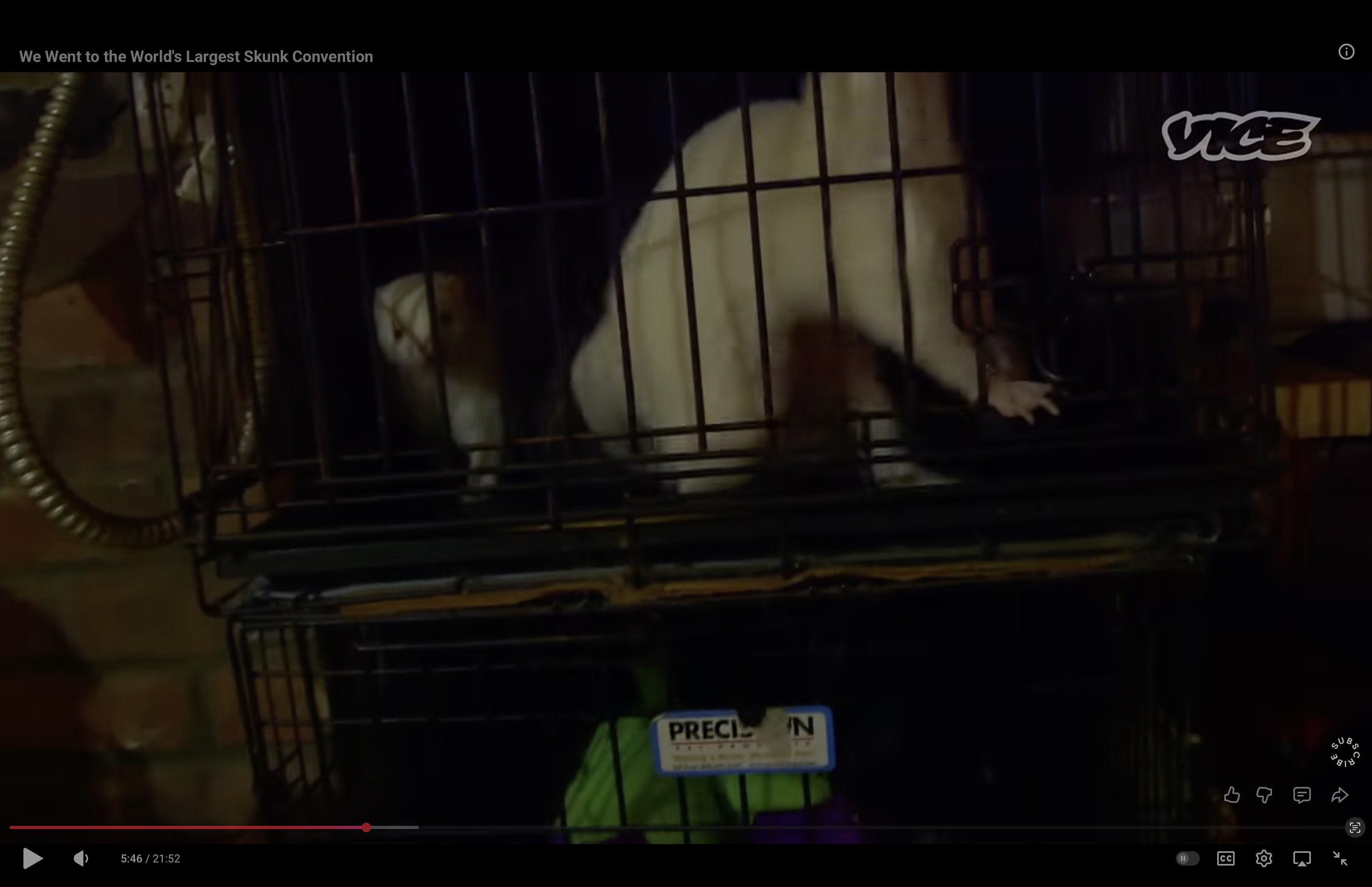 Image 11 16 25 at 343 PM 1