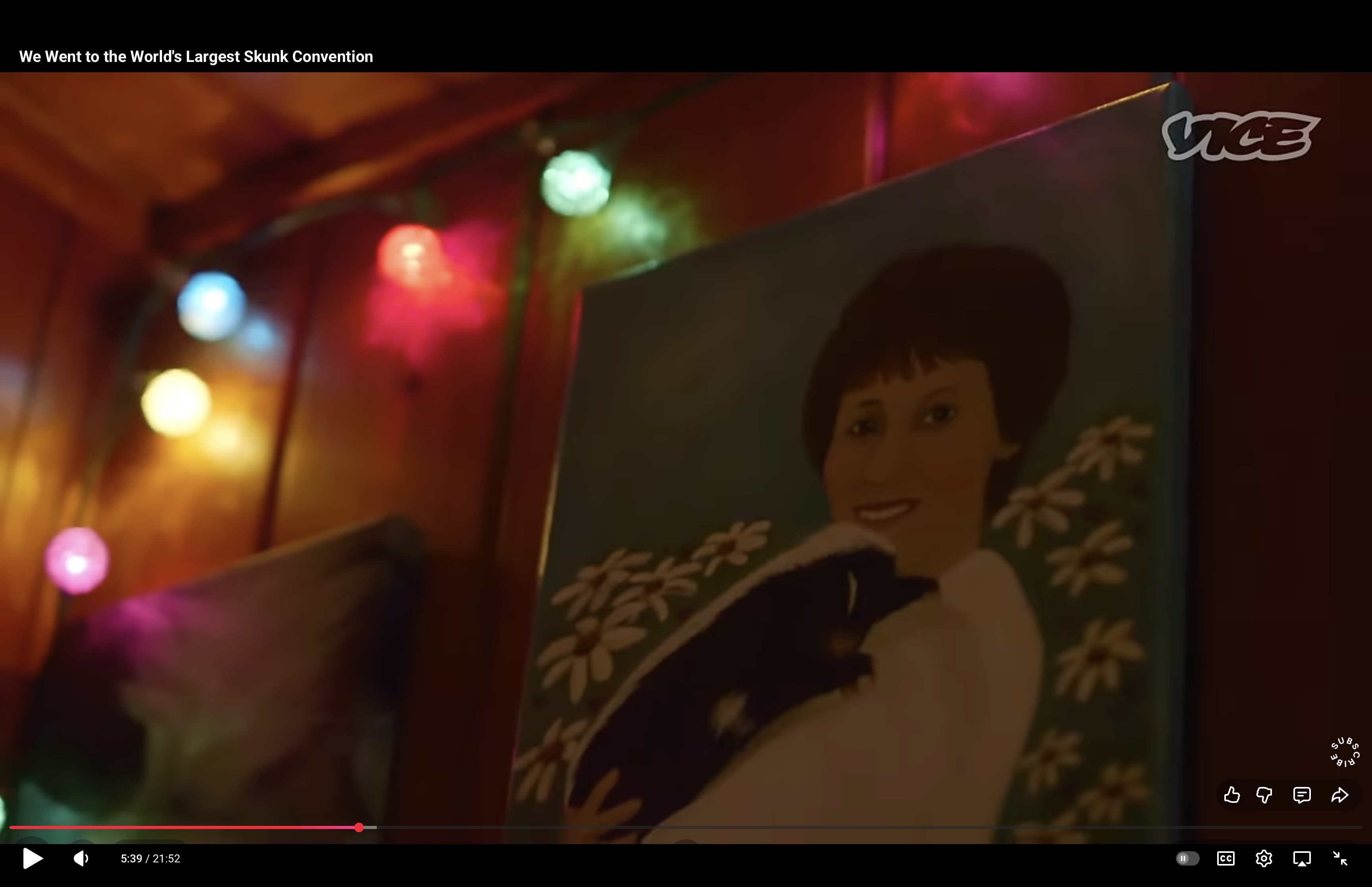 Image 11 16 25 at 336 PM