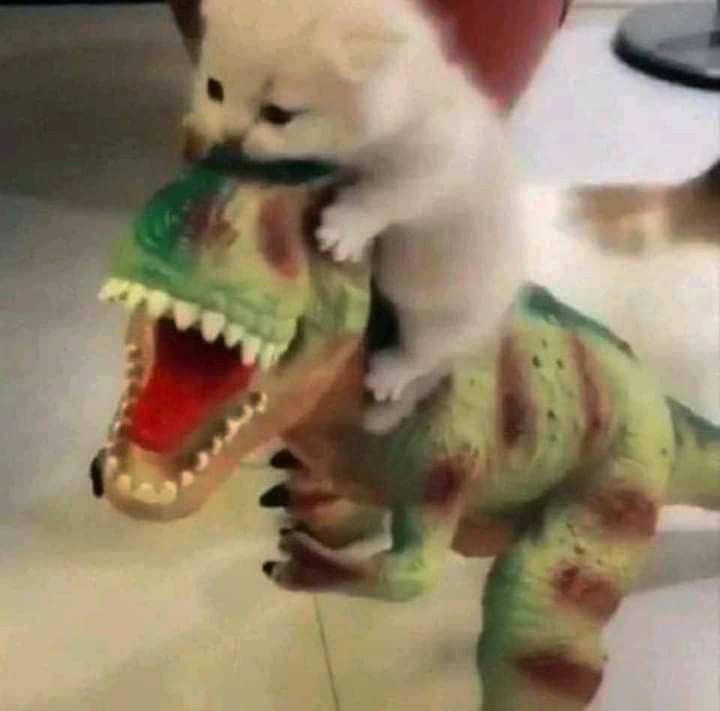 1000006488