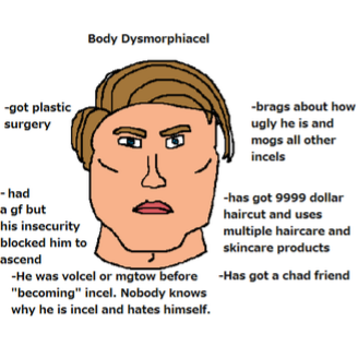 B8c149dd 9d6c 40e8 ac8a ad74d4b8c6ed 1 all 12515