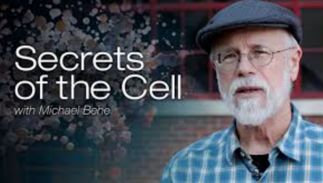 Screenshot 2025 04 02 094306