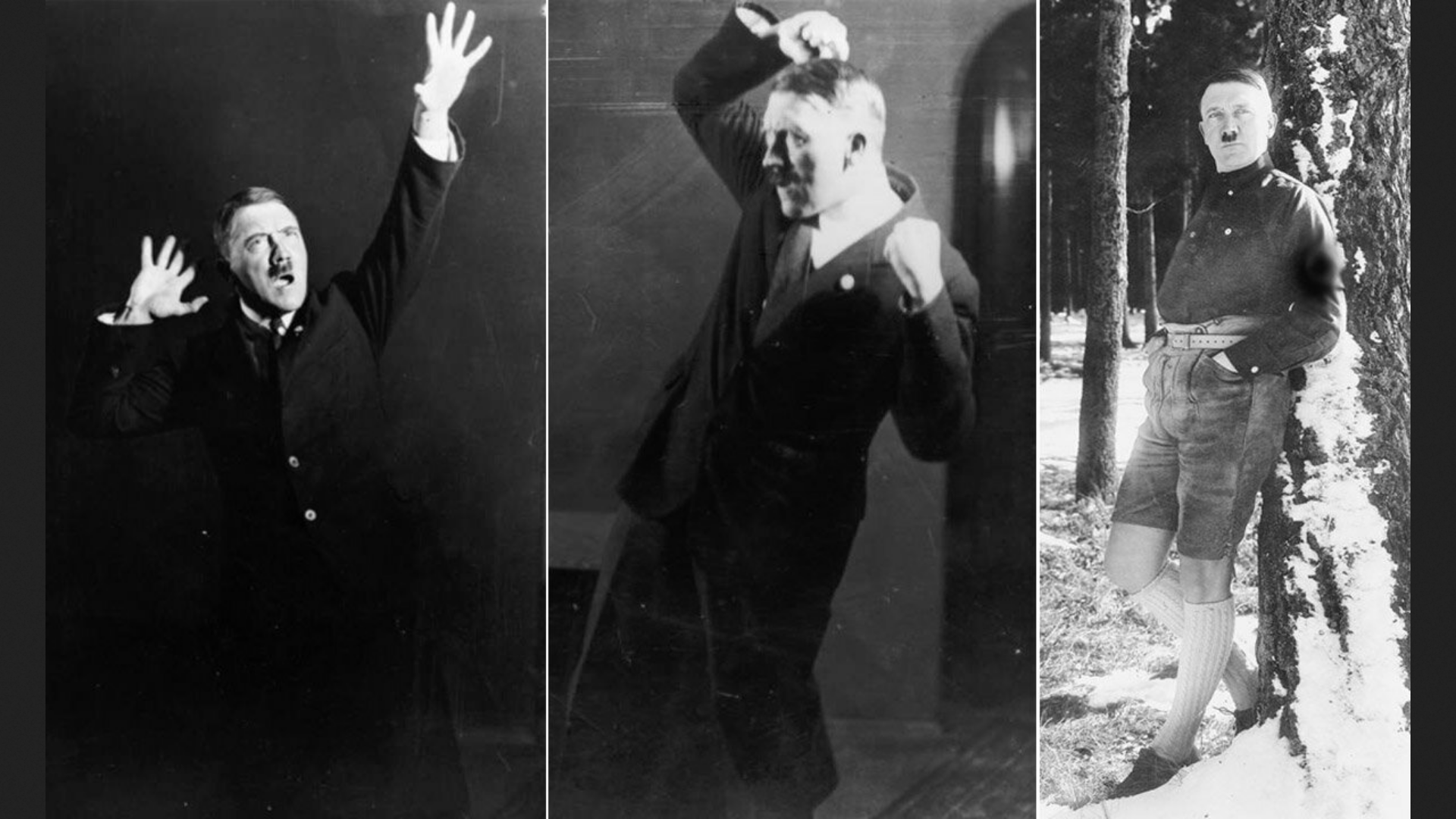 Hitler schicklgruber 2