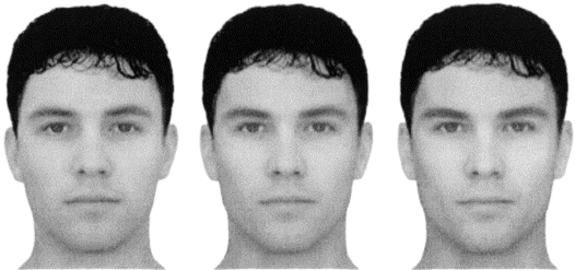 1 s20 S1090513801000666 gr2 removebg preview1