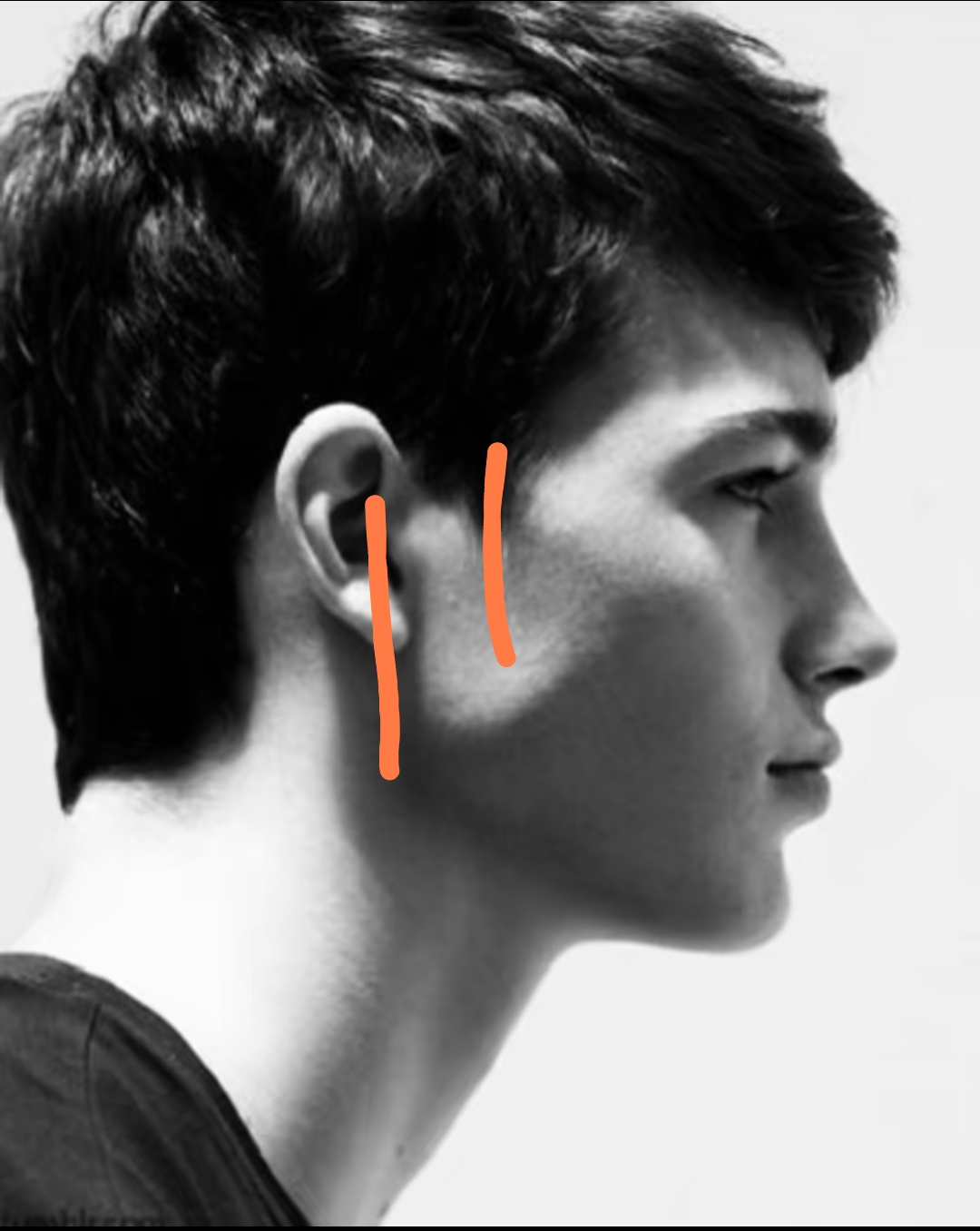 Screenshot 2025 11 18 02 31 42 583 comzhiliaoappmusically edit