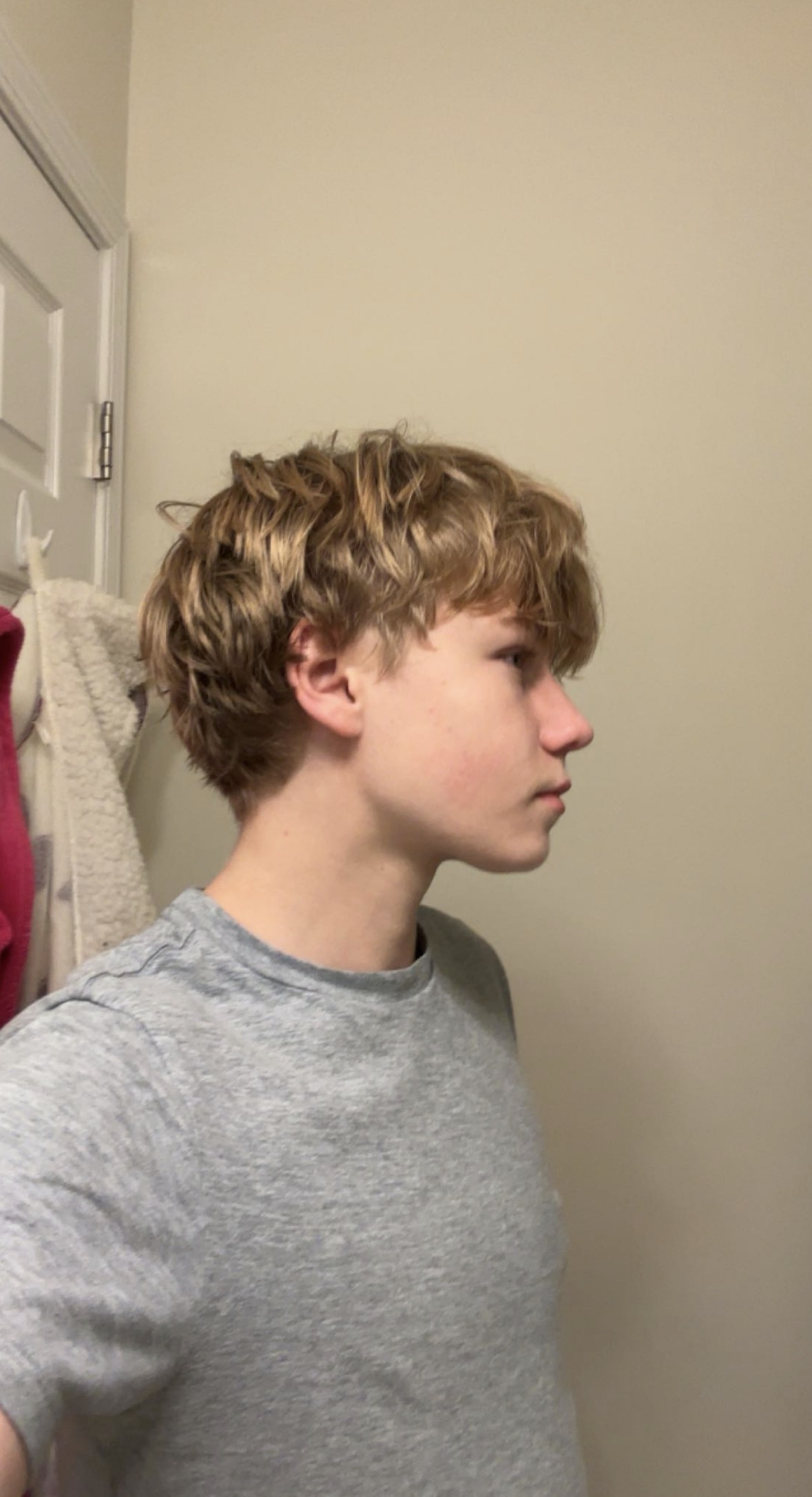 IMG 2954