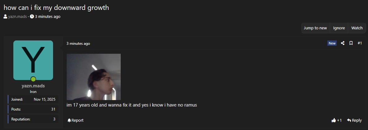 1763497019802