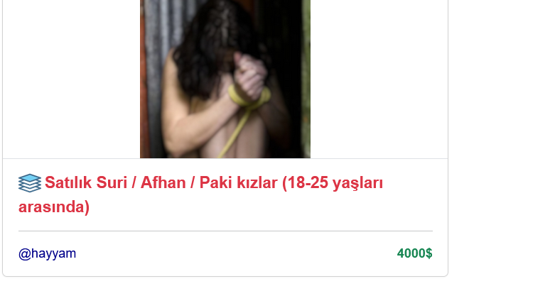 Ekran grnts 2025 08 17 000007