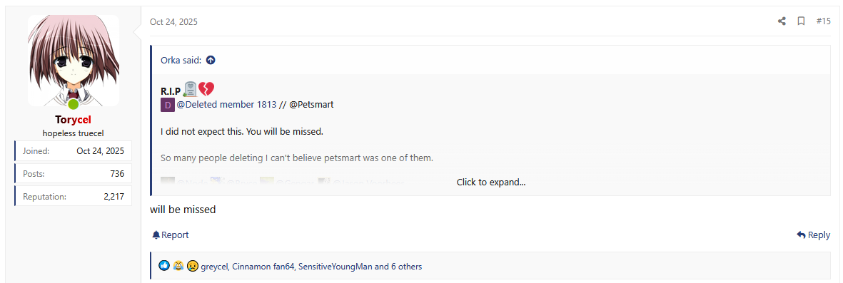 Screenshot 2025 11 19 212209