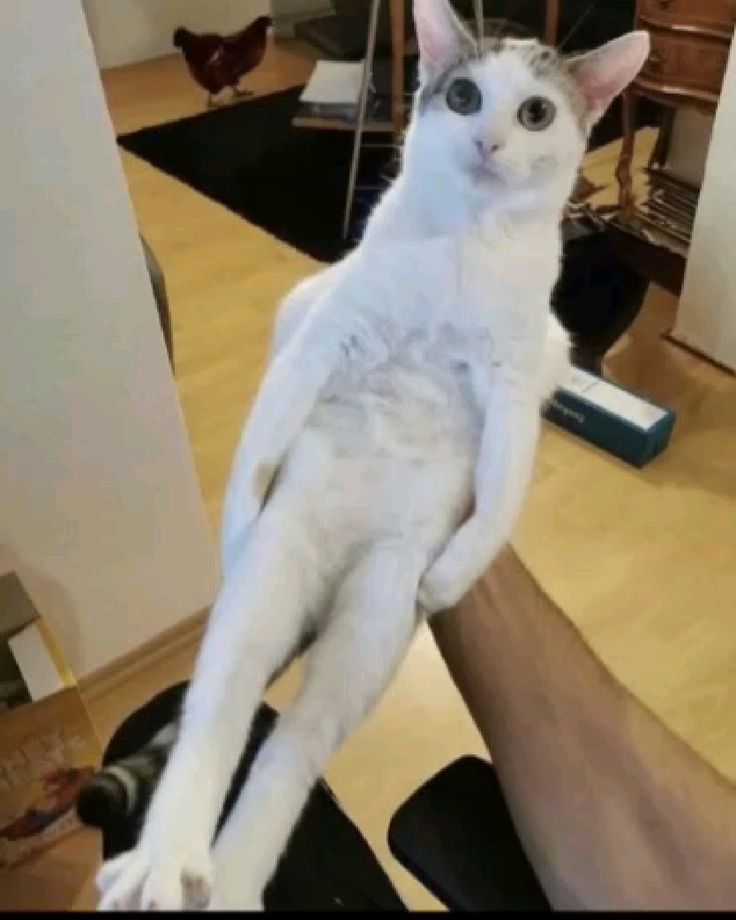 1000006575