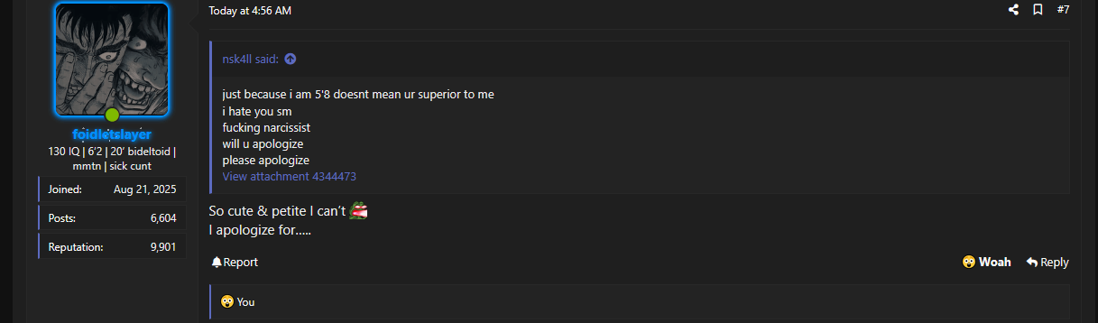 Screenshot 2025 11 20 174958