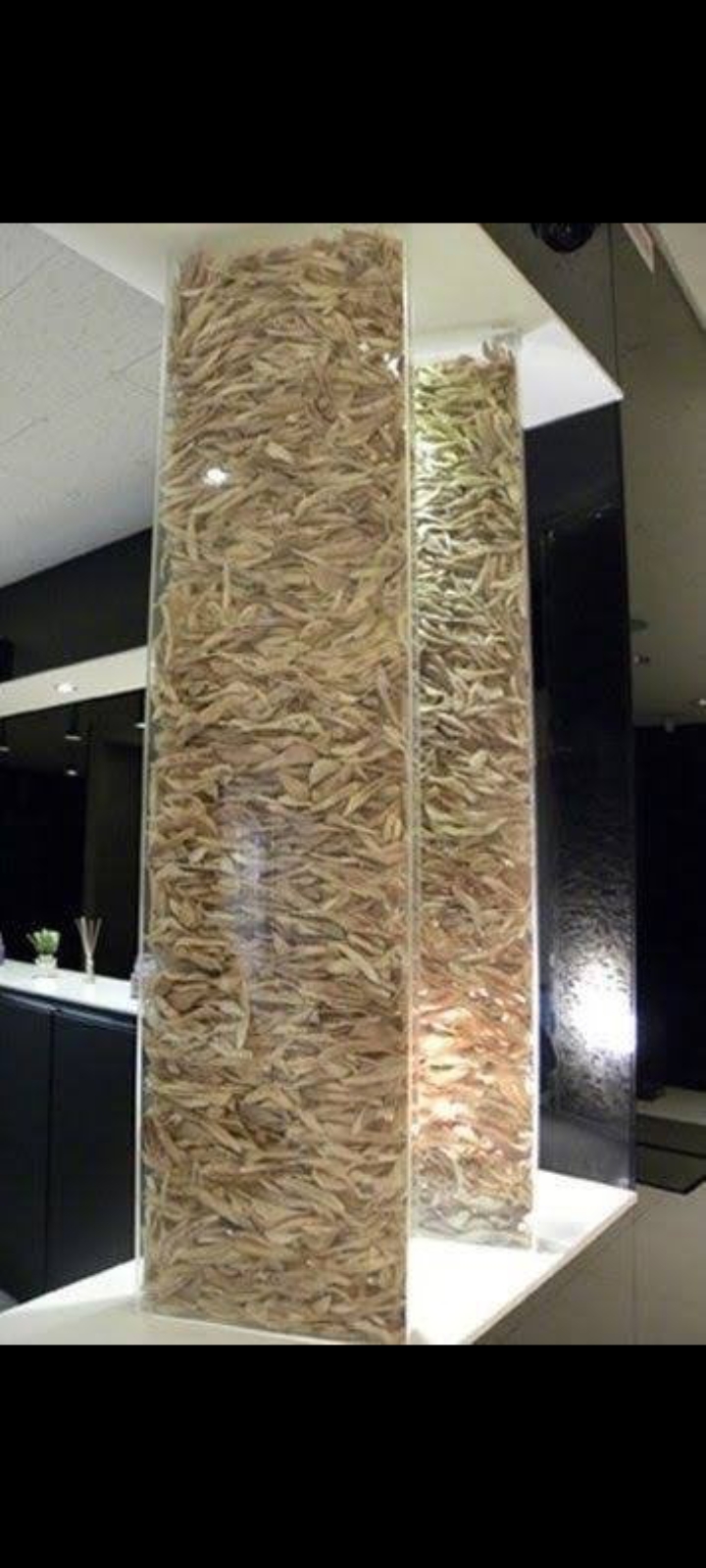 Screenshot 2025 11 21 18 40 58 61 99c04817c0de5652397fc8b56c3b3817