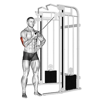 Single Arm Cross Body Cable Tricep Extension