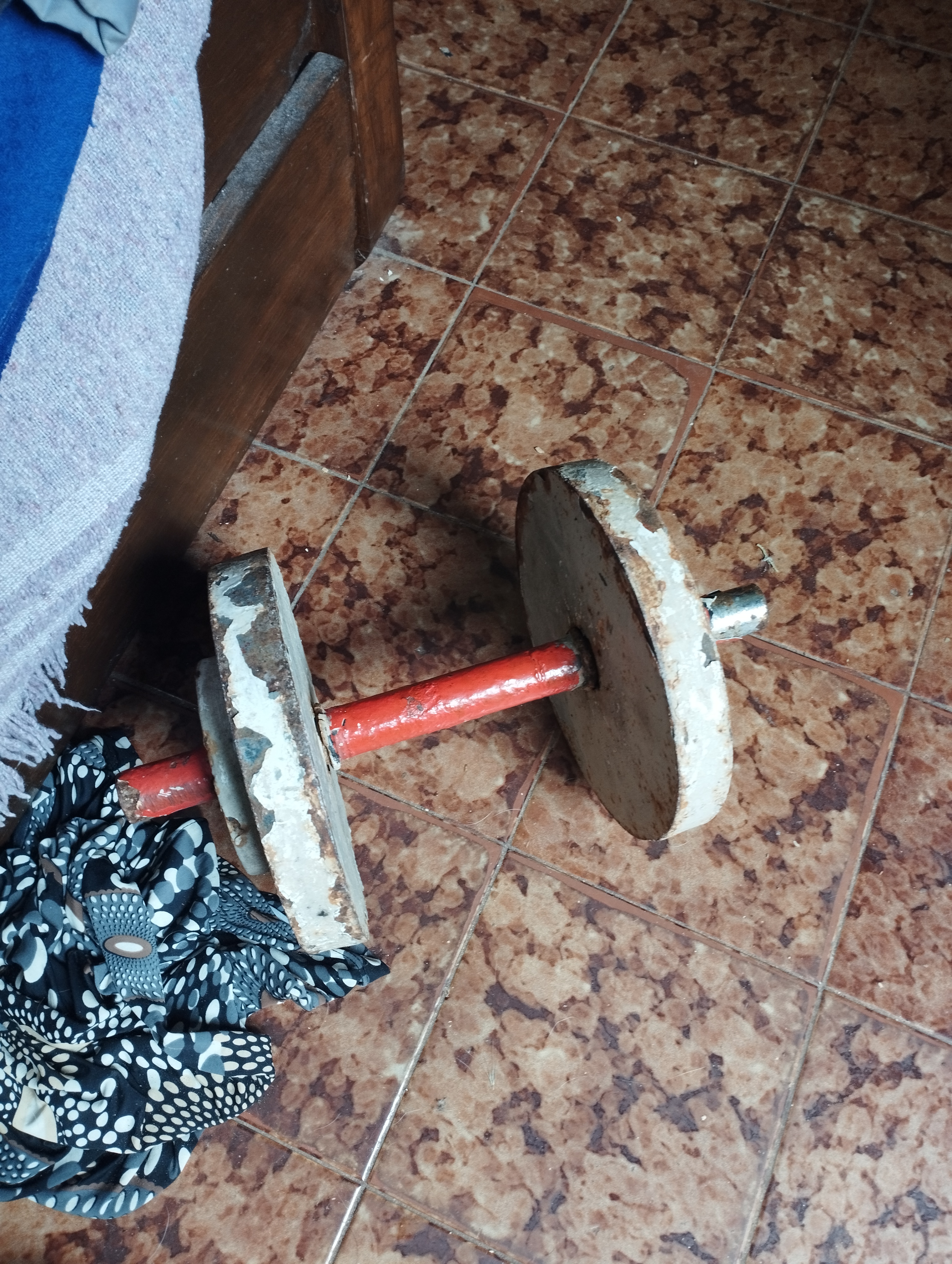 IMG 20251121 123516