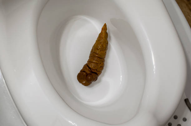 IMG 8132
