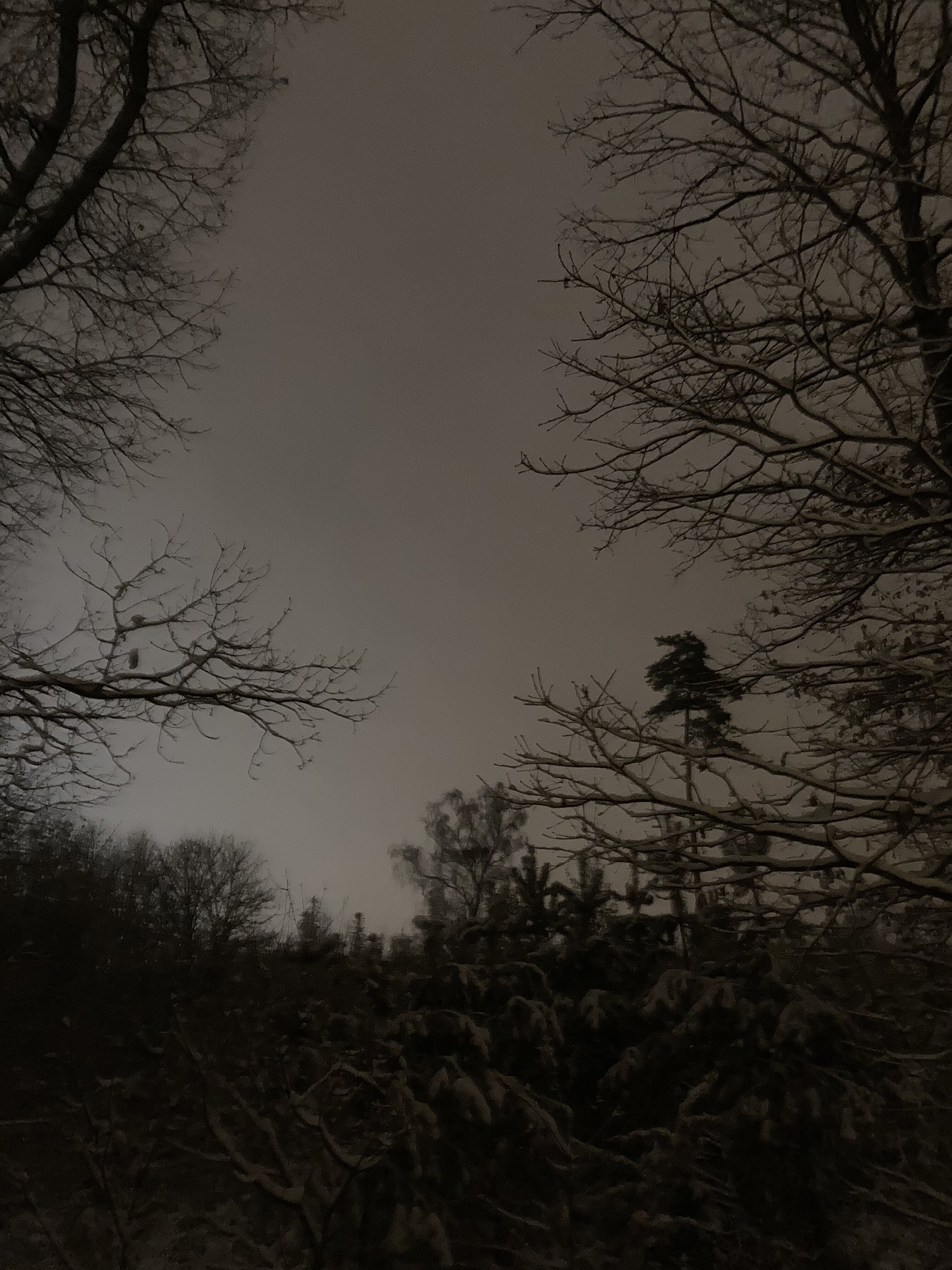 E2AB1783 60A6 49EB 9B88 BEAA6208830E