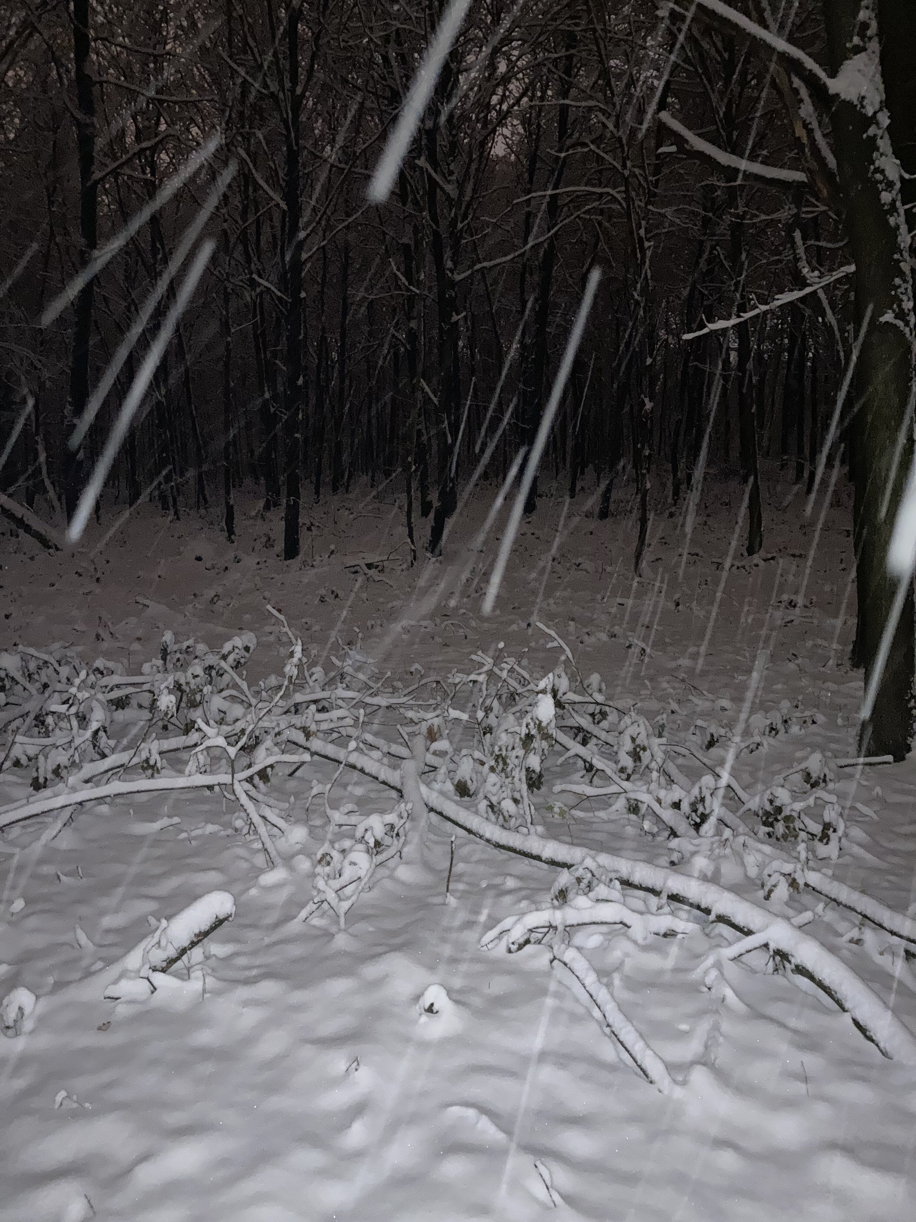 B74FB0FC 92CC 4E67 9F1C 0B46C8B7C973