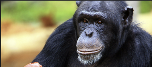 Screenshot 2025 11 23 at 20423PM