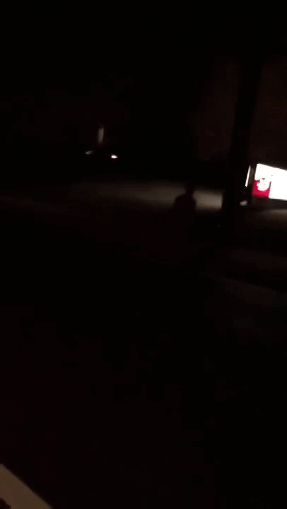 Nigger zombie censored