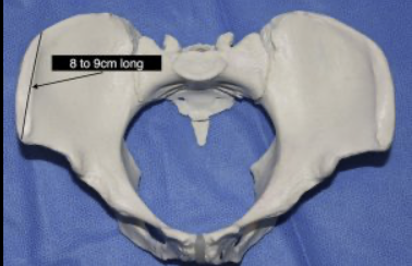 Screenshot 2025 11 23 at 100123PM