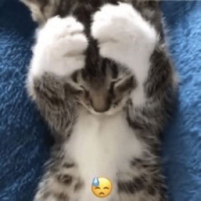 GI9vvRpXYAAtboq
