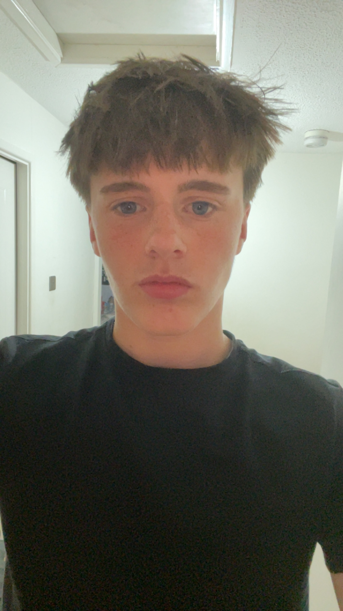 IMG 1768