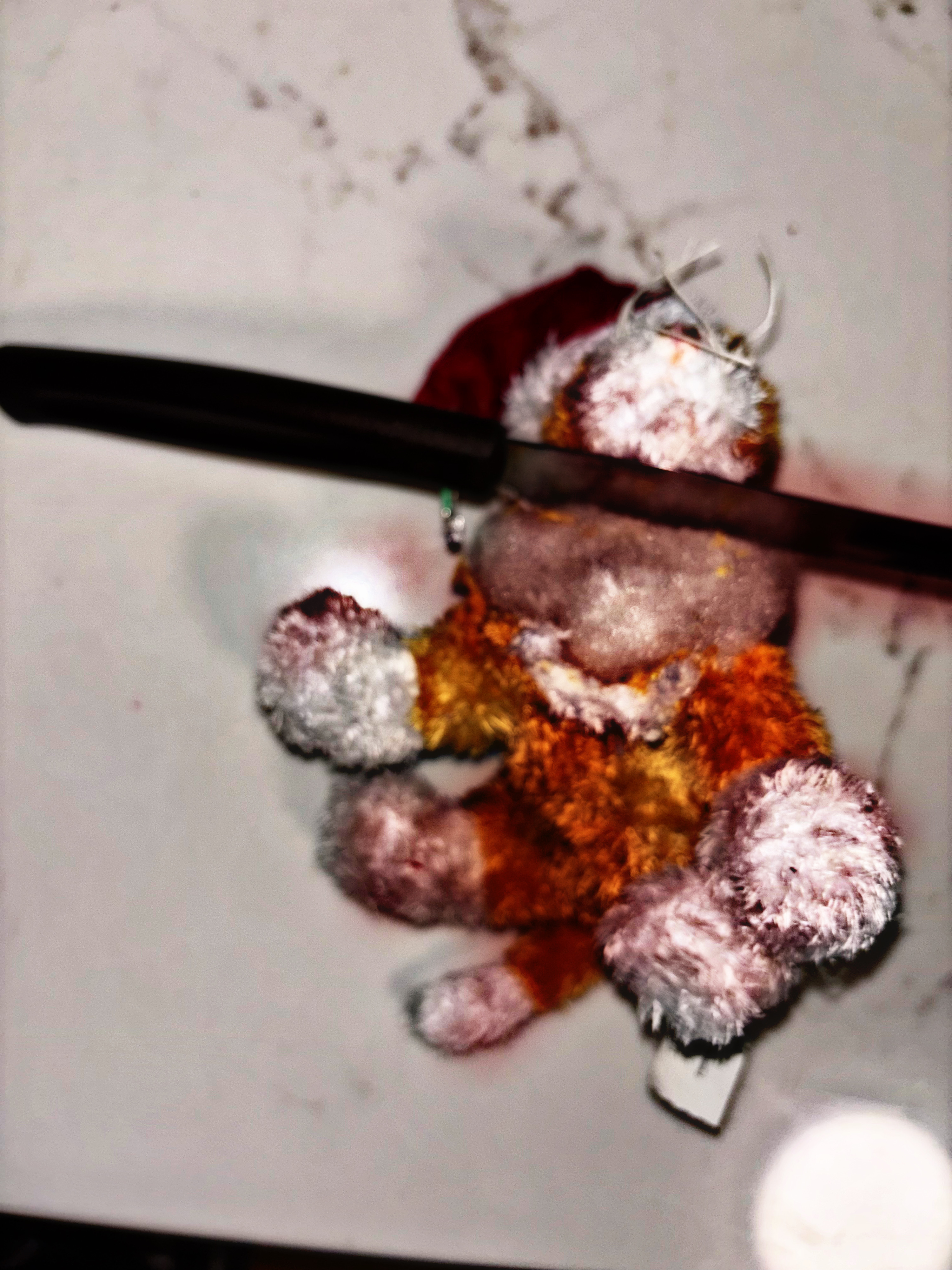 573E6142 4618 4CAD 8EA3 FF7AC43D379F