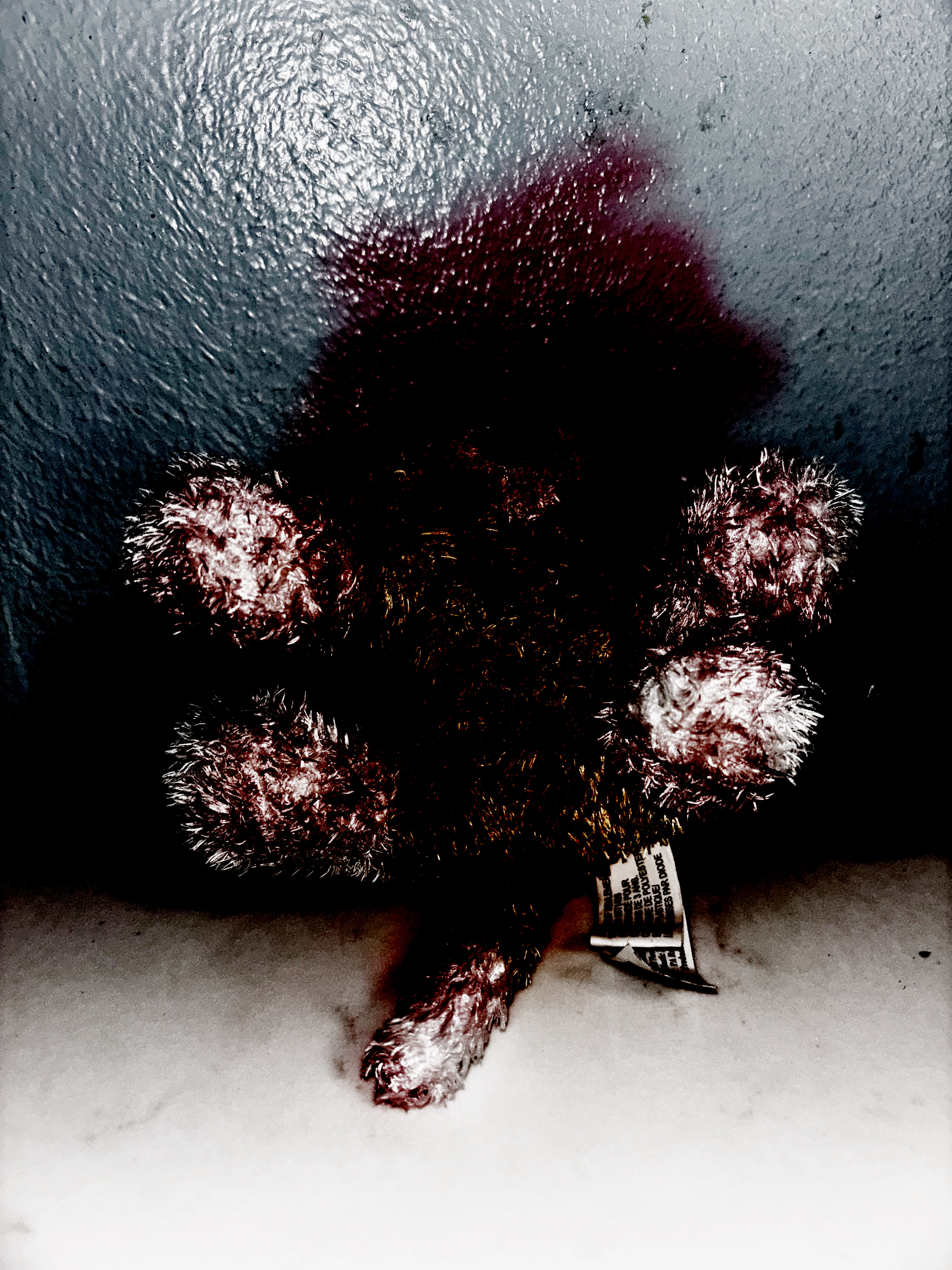 E22DD8CB 74AA 4B5E B21A BA939DDF481E