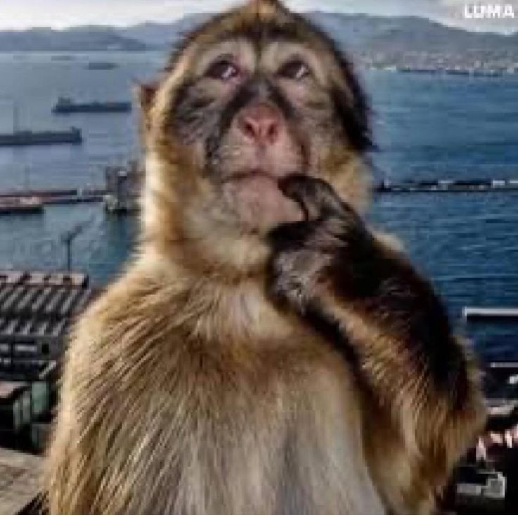 C1f590a3dd9a645696745b06c78bd5f6