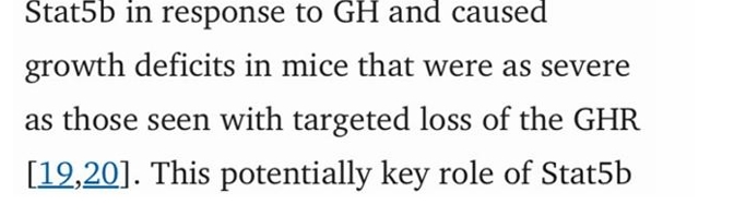 Screenshot 26 11 2025 12181 