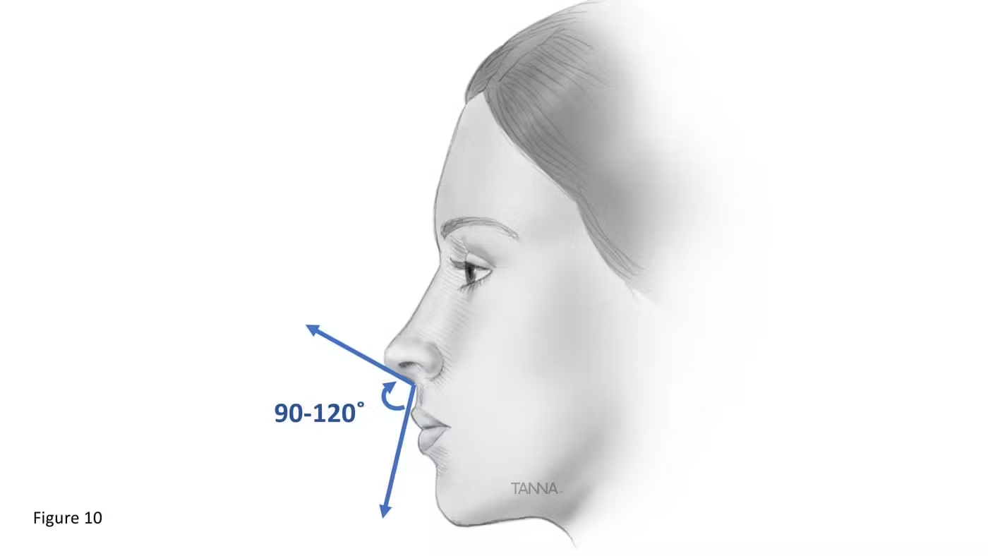 The Complete Guide To Facial Ratios And Angles Looksmax Men s The Complete Guide To Facial Ratios And Angles Looksmax Men s