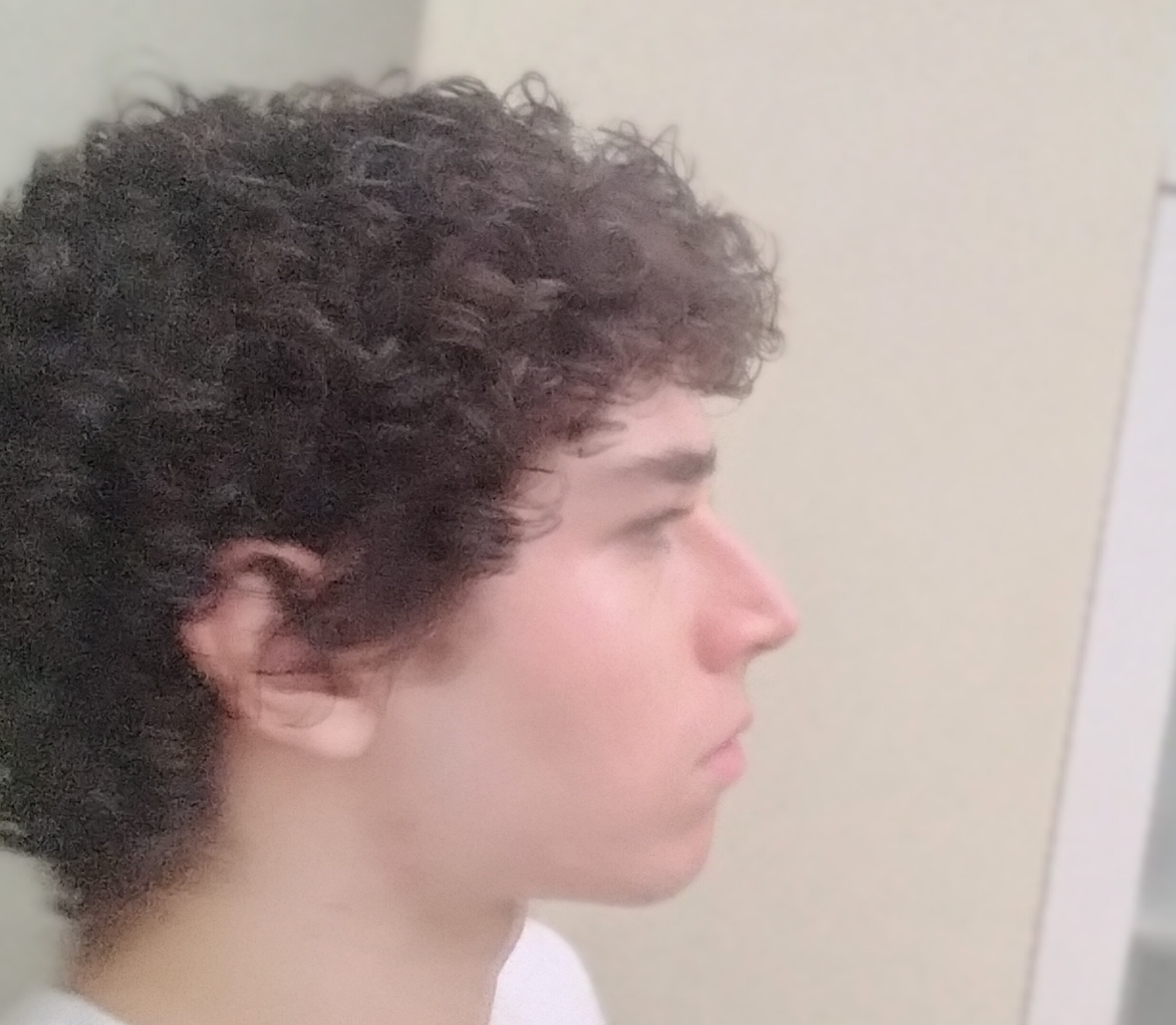 IMG 20251126 172558