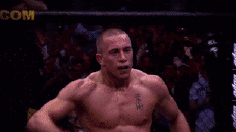 Gsp georges st pierre