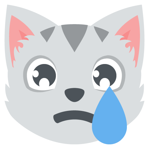 1333 crying cat face