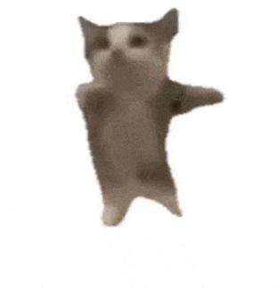 Imageedit 2 4429726295