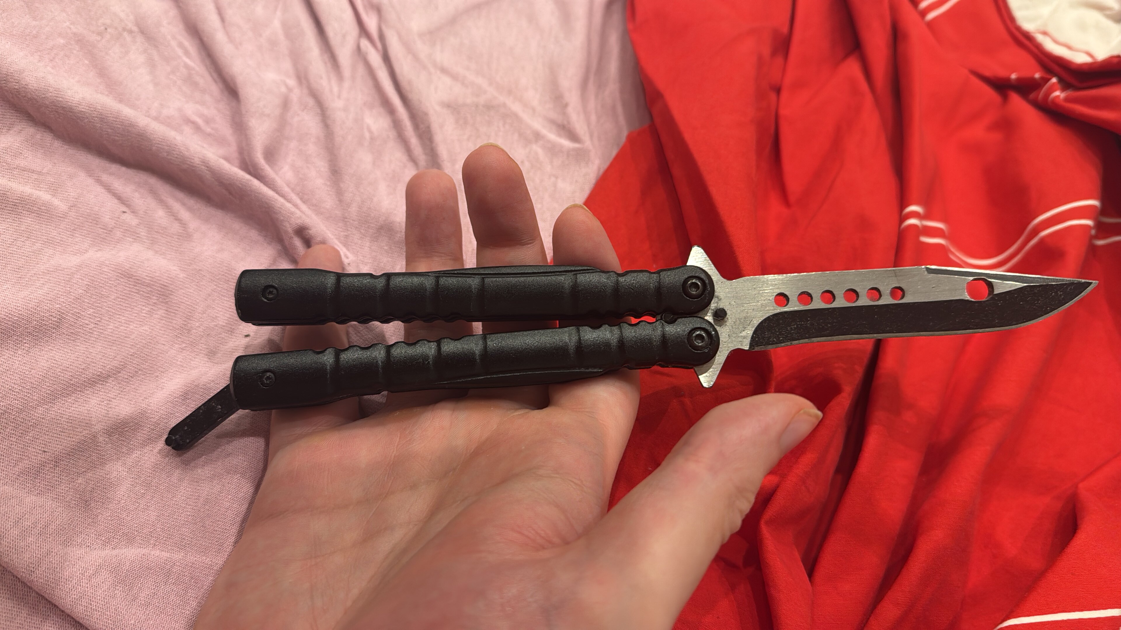 FCB15690 BA4E 4981 A1EF 0951FE48BB6A