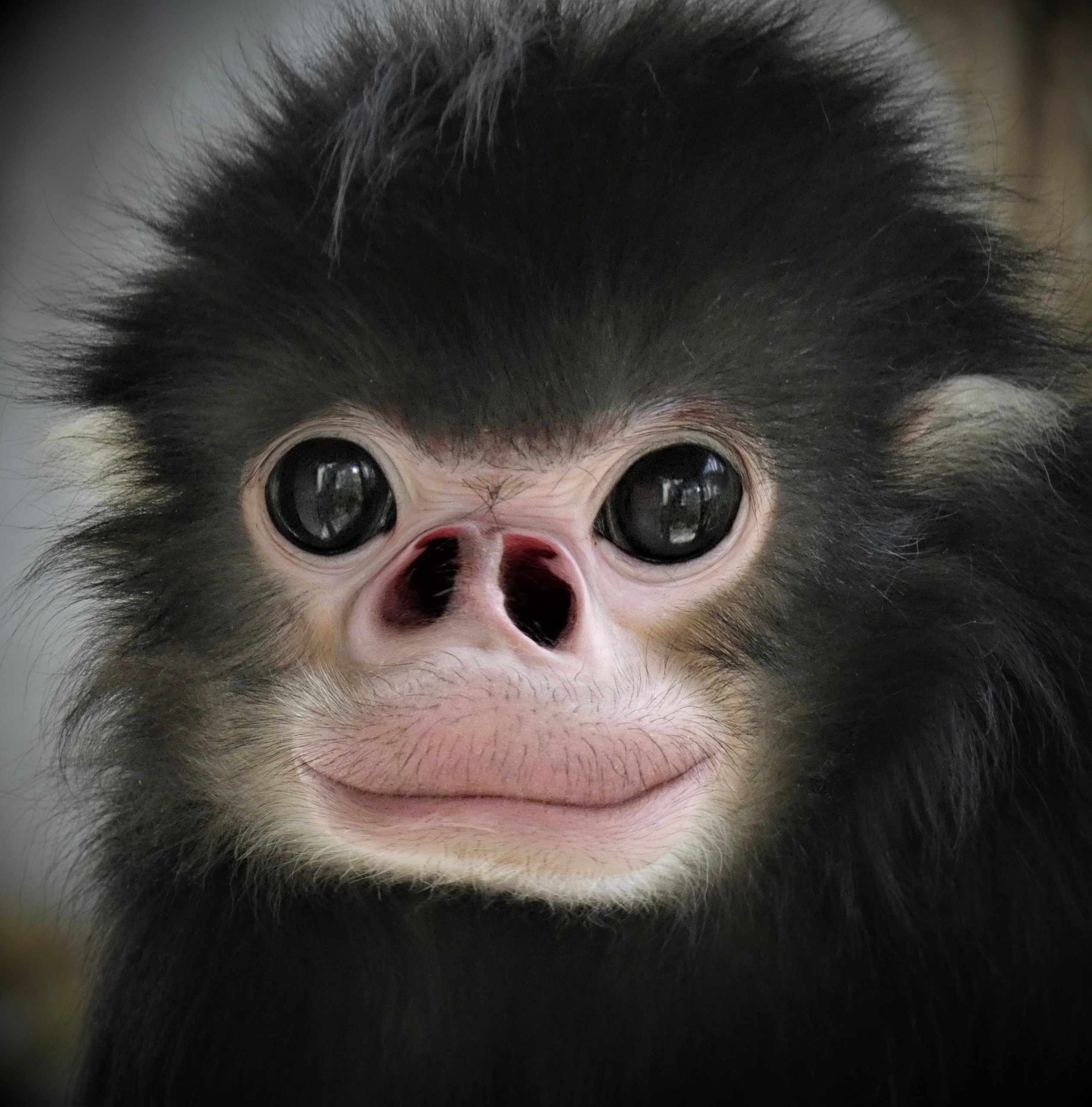 Retouch 2025112616103019