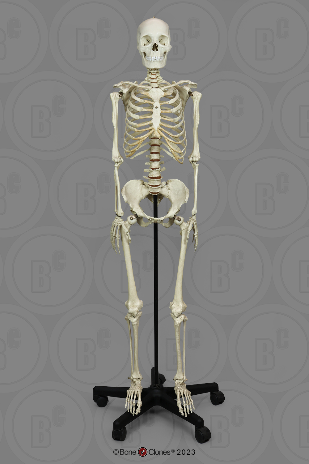 Product 9 main original 1699035226