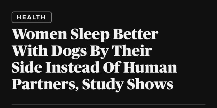 43C8EA07 5EAF 4AC5 946A 59777610260E