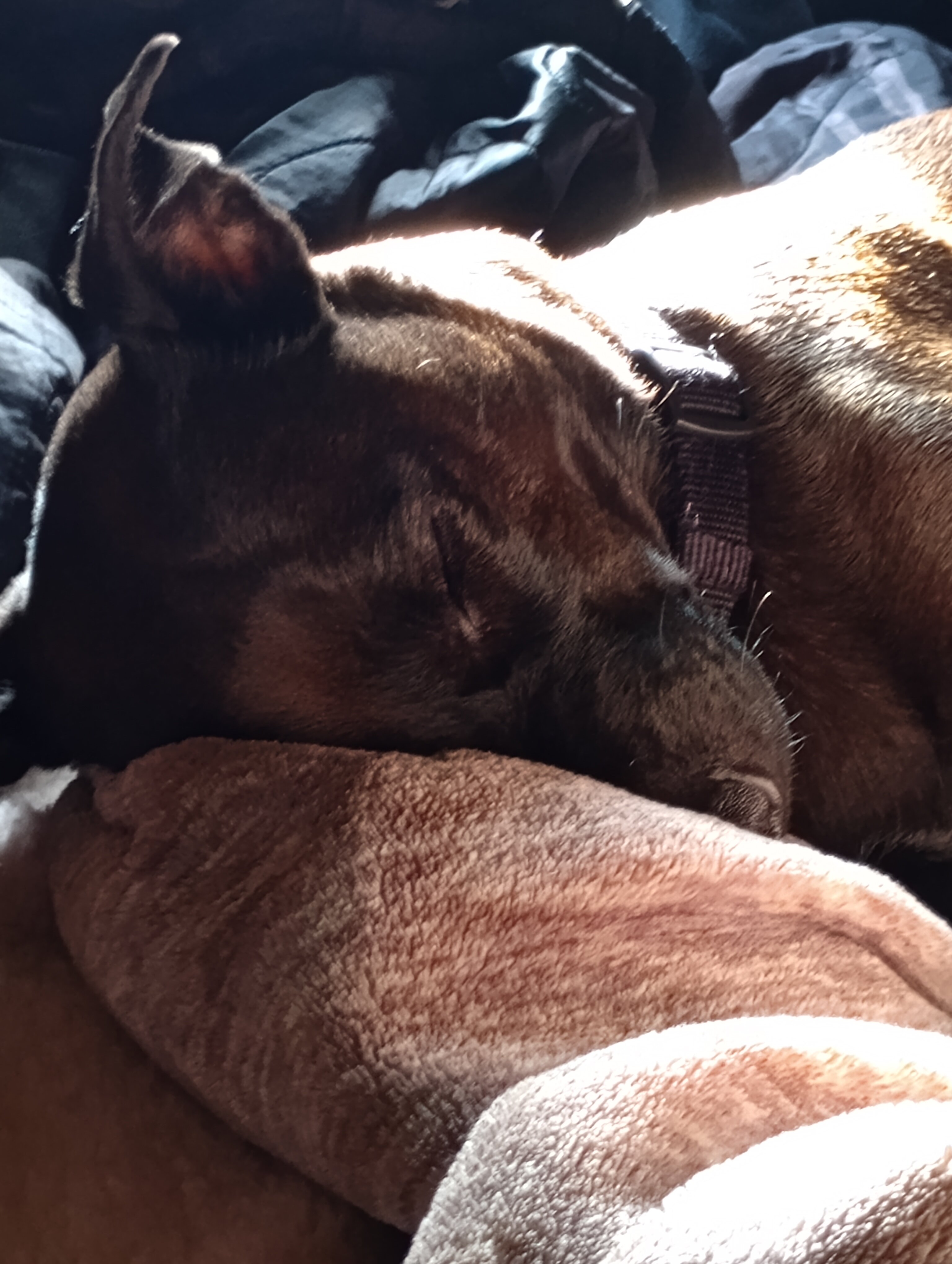 IMG 20251128 150239588