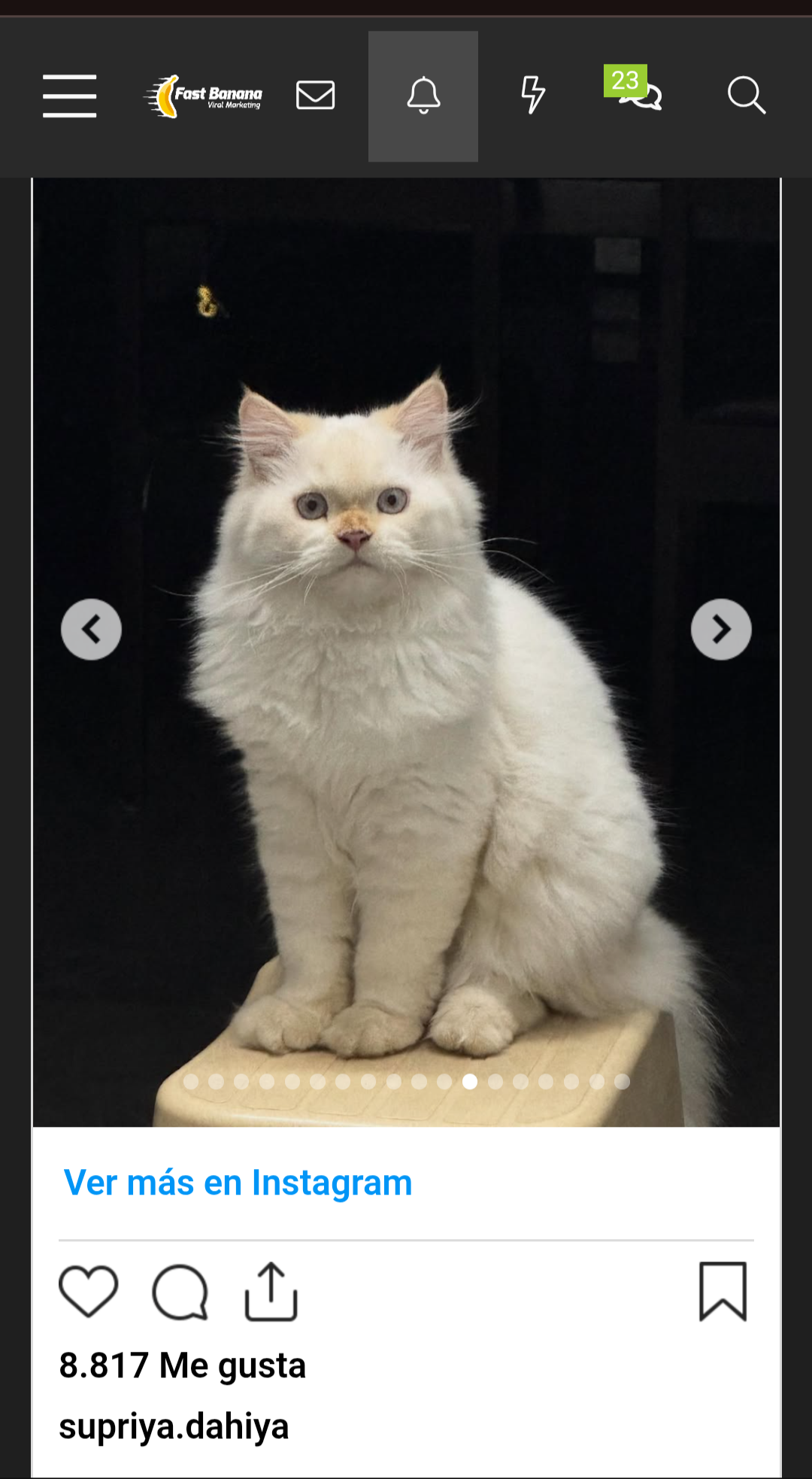 Screenshot 20251129 104408