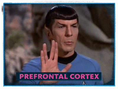 Prefrontal spock