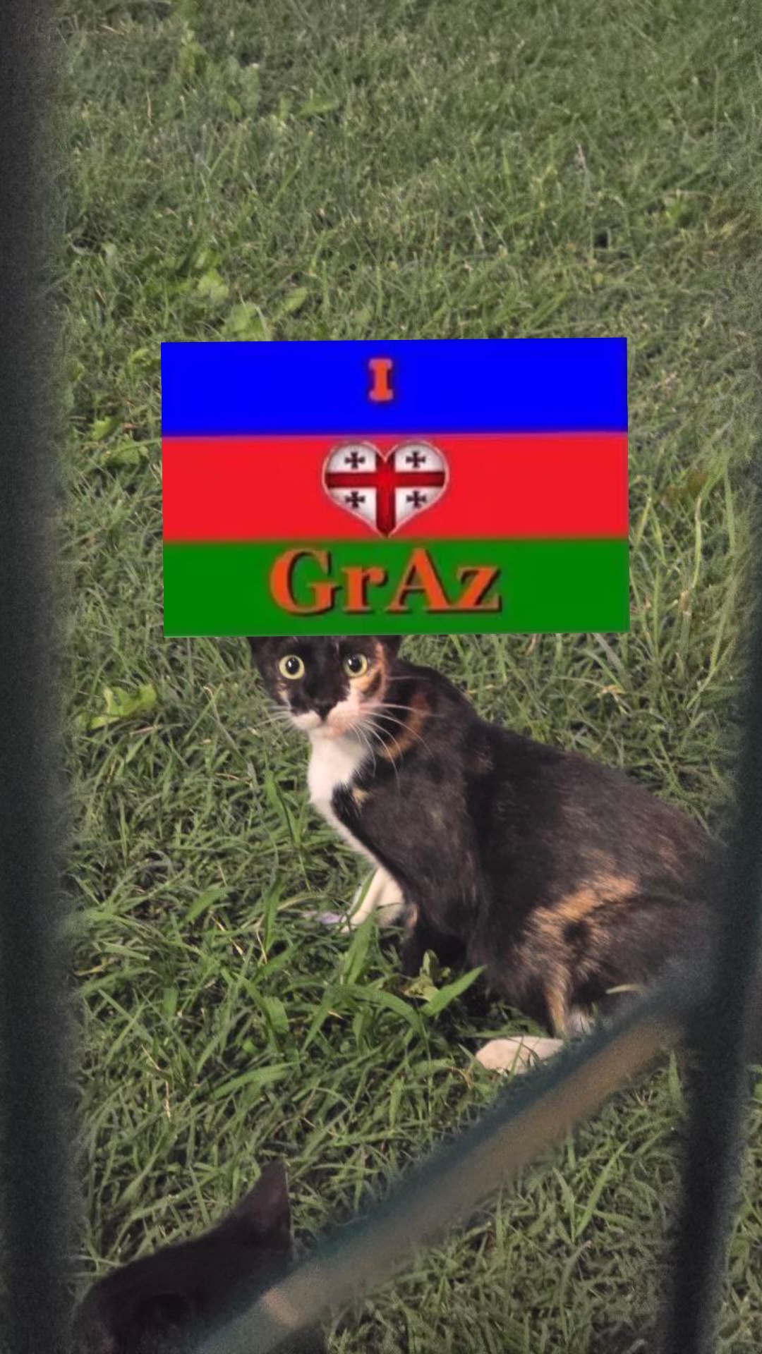 IMG 20251129 183243 341