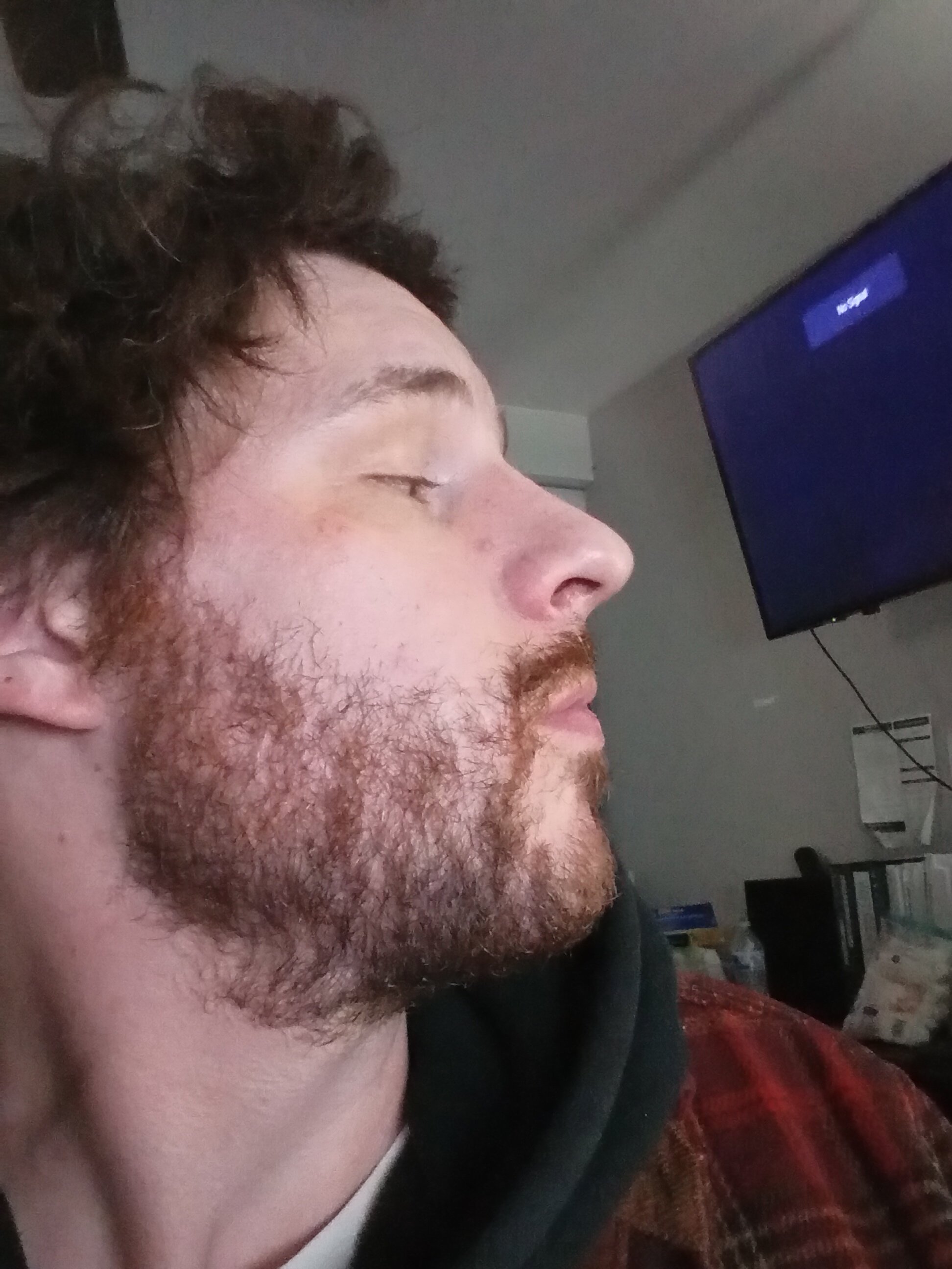 IMG 20251117 033657665